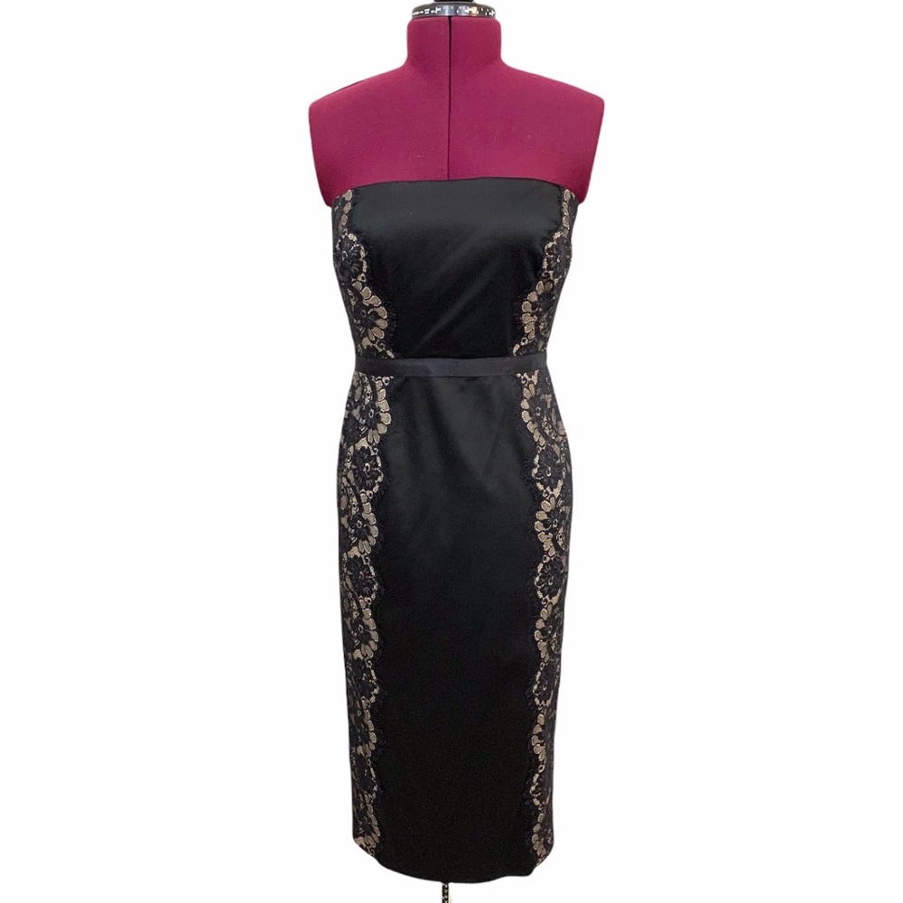 Tadashi Shoji Dress Strapless Midi Satin Lace 4